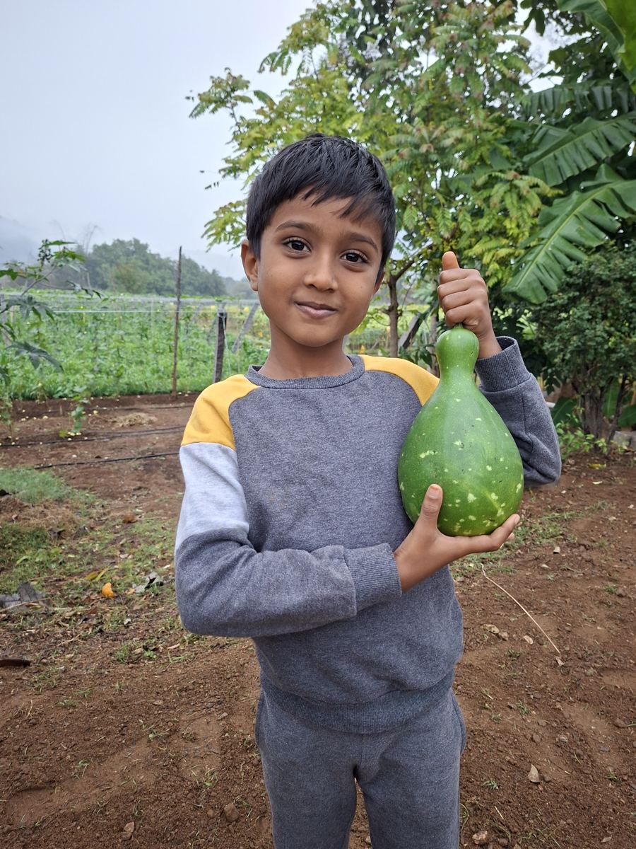 A young helper with a freshly picked gourd