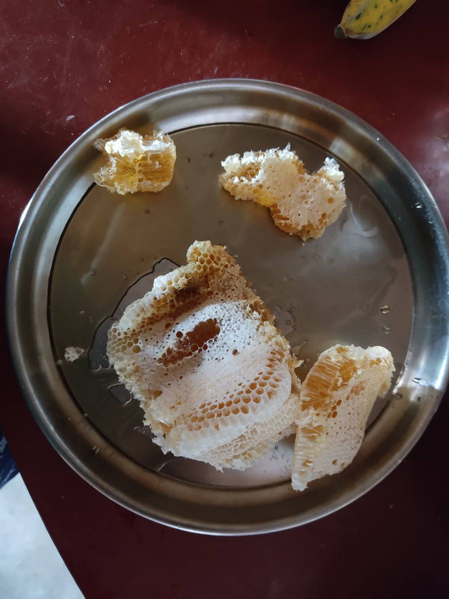 A plate of honeycomb