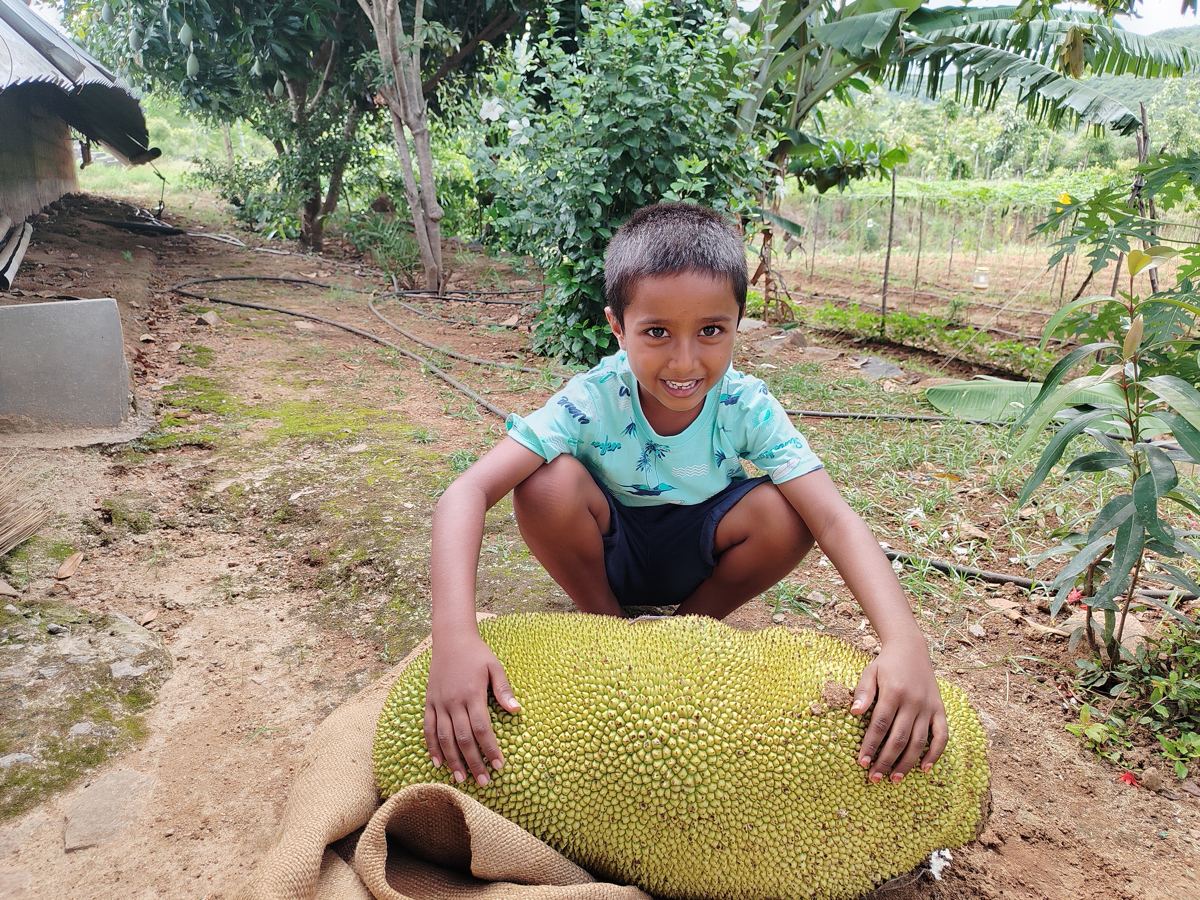 A young farmer with a giant jackfruit