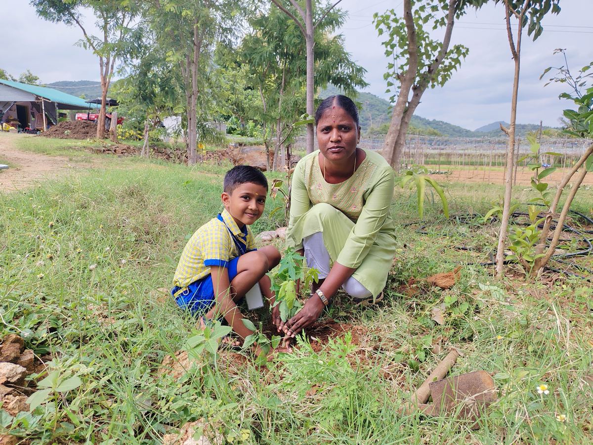 Planting a sapling together