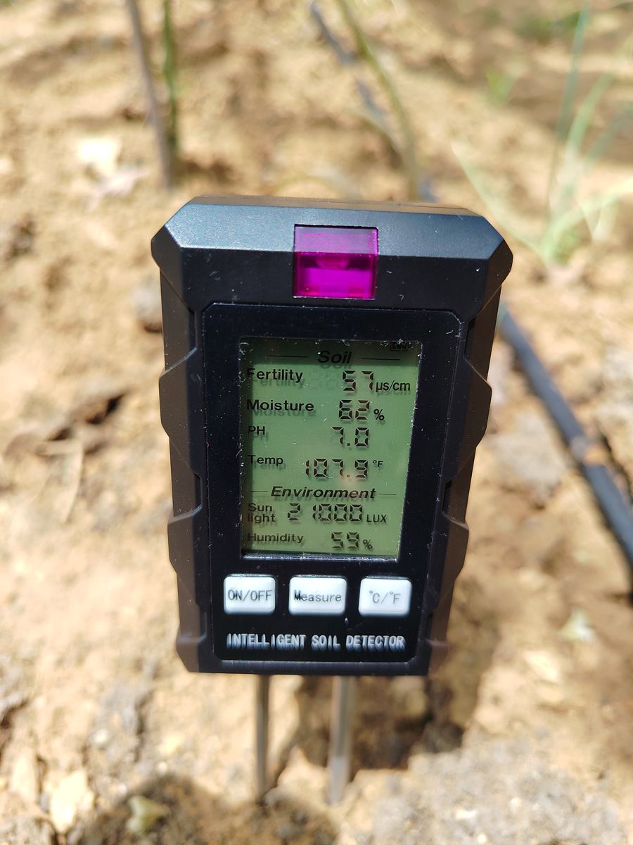 Checking the soil with a meter