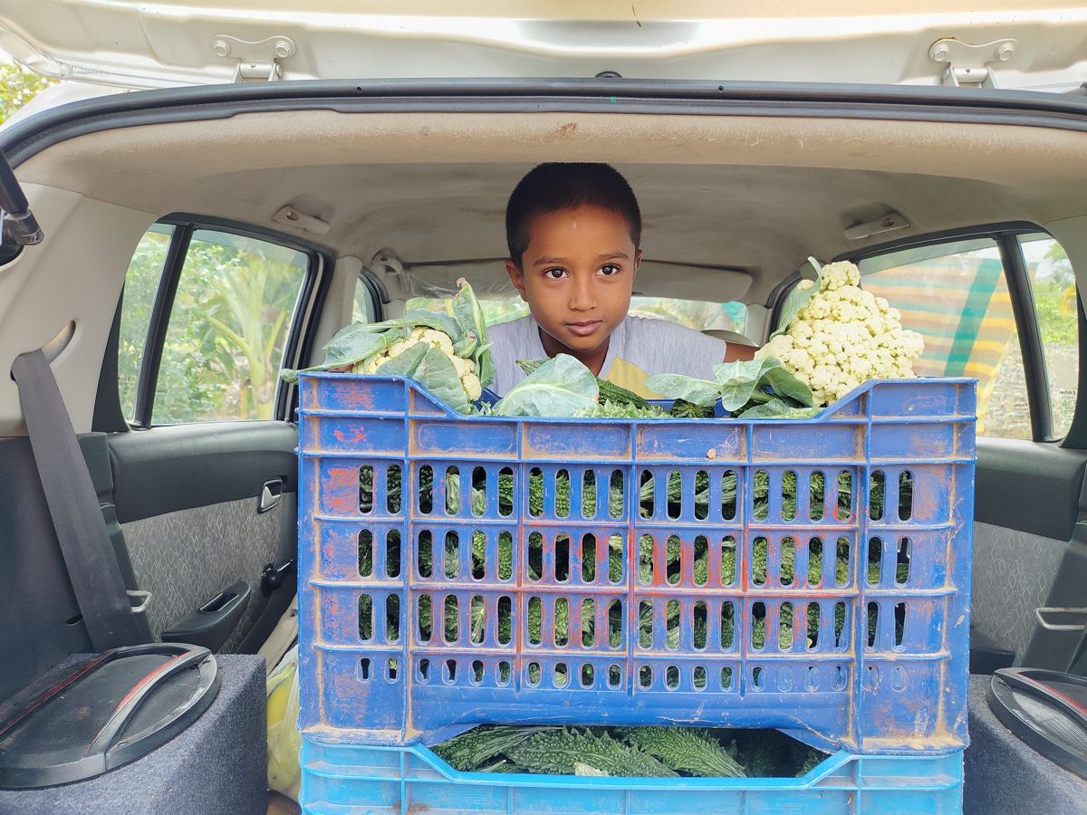 A crate of fresh vegetables, ready to go