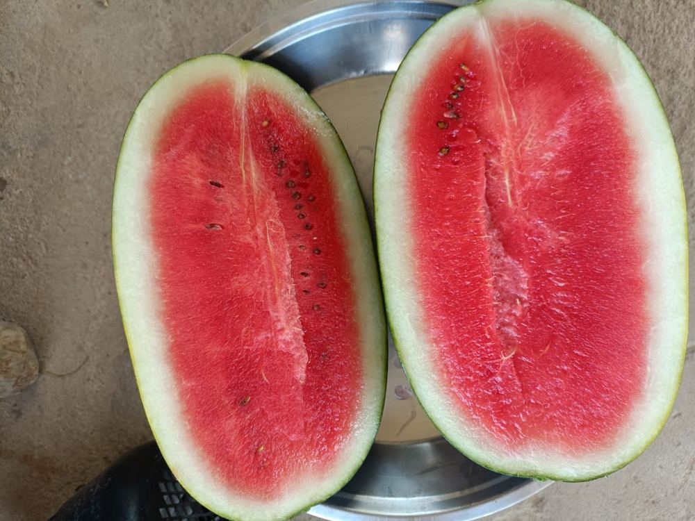 A watermelon cut in half